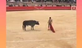 西班牙斗牛视频完整版,西班牙斗牛艺术与传统的视觉盛宴