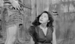 日本真人性视频,一场视觉与心理的双重冲击